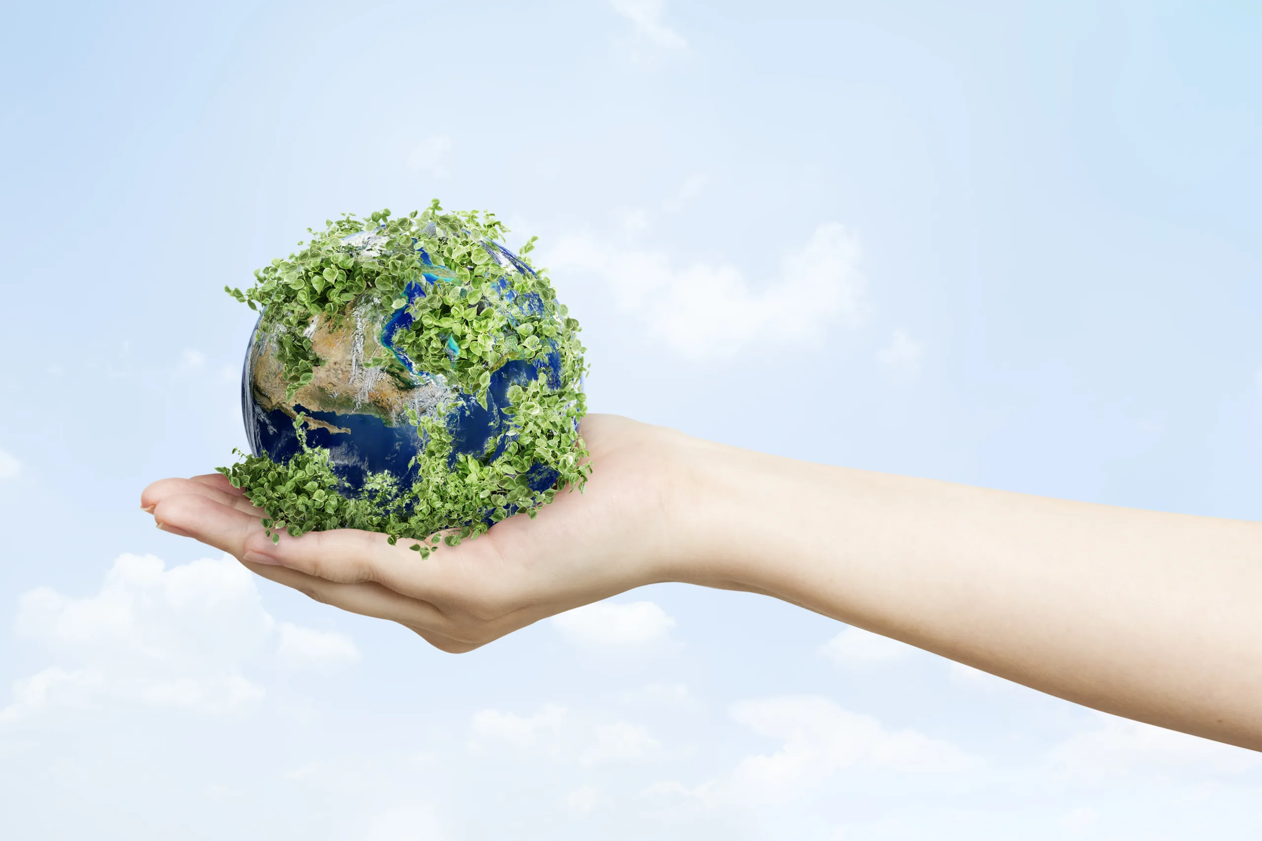 Una mano che tiene un globo terrestre coperto di vegetazione, simbolo di sostenibilità e protezione ambientale.
