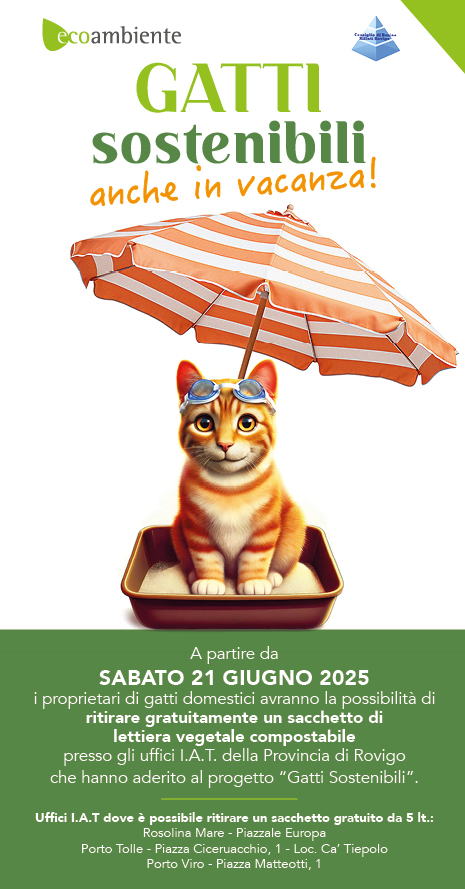 Immagine anteprima