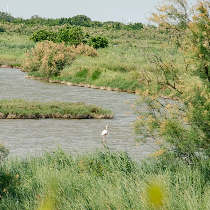 Delta del Po