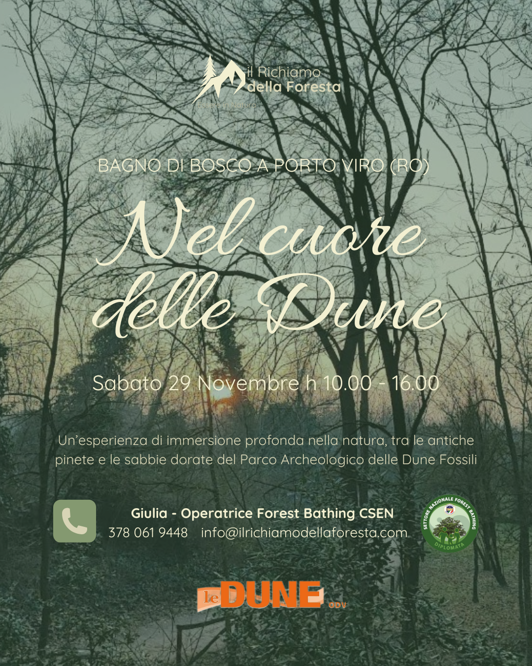 VOLANTINO NEL CUORE DELLE DUNE Evento di forest bathing a Porto Viro, immerso tra alberi e natura, sabato 29 novembre dalle 10 alle 16.